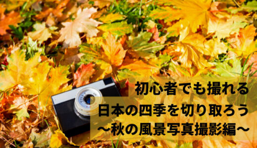 【初心者でも撮れる】日本の四季を切り取ろう　～秋の風景写真撮影編～